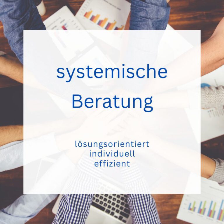systemische Beratung